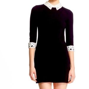Ted Baker Currie Lace Collar Tunic Dress in Black, Ted Size 0